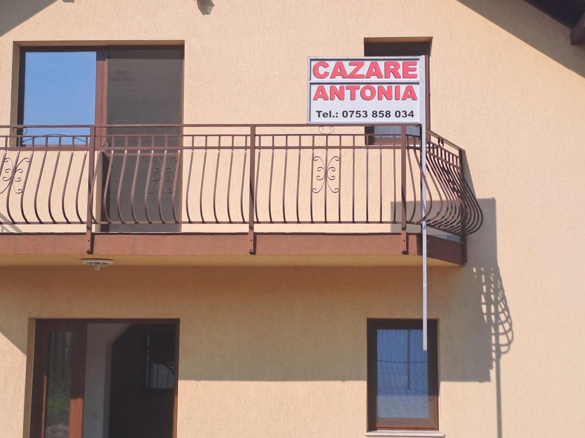 Cazare Antonia Curtea de Argeş Extérieur photo