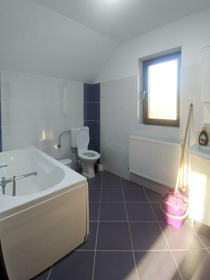 Cazare Antonia Curtea de Argeş Extérieur photo